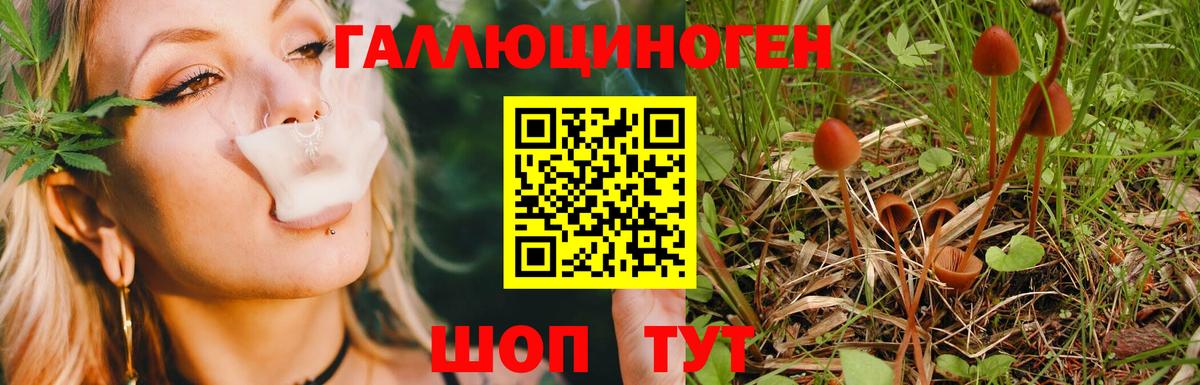 Галлюциногенные грибы мицелий Георгиевск