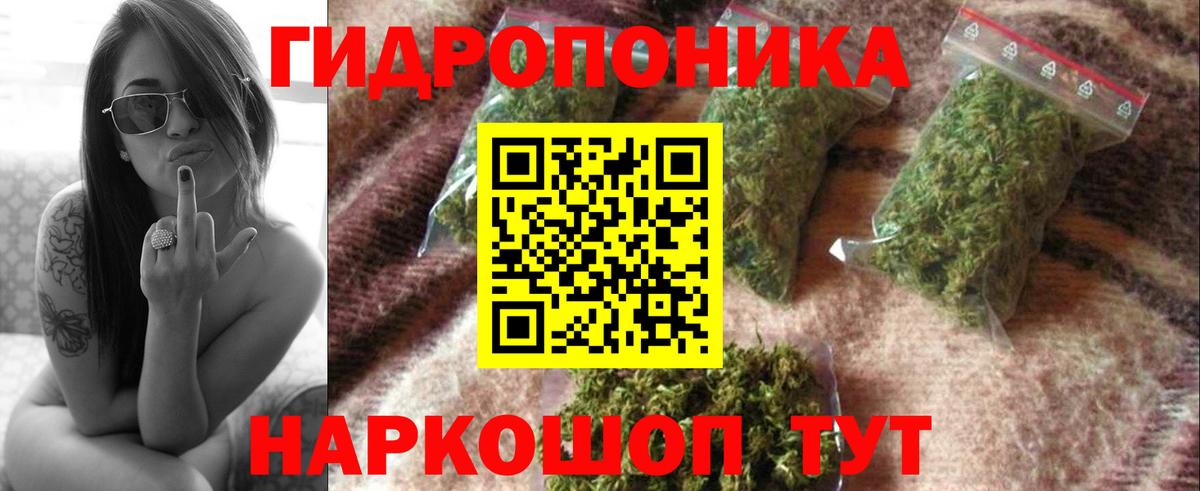 МАРИХУАНА ГИДРОПОН  Бошки марихуана сатива  Вход с VPN  Марихуана марихуана  Георгиевск 