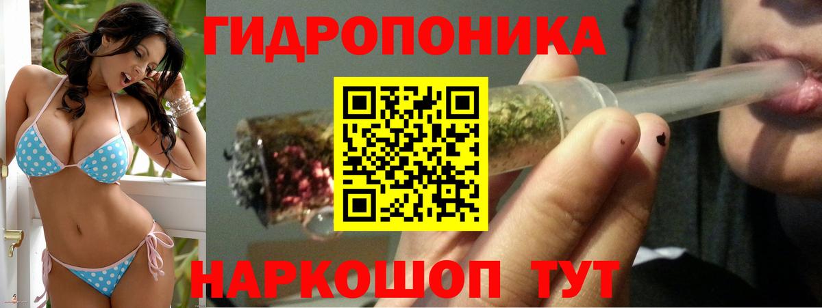 Конопля AK-47 Георгиевск